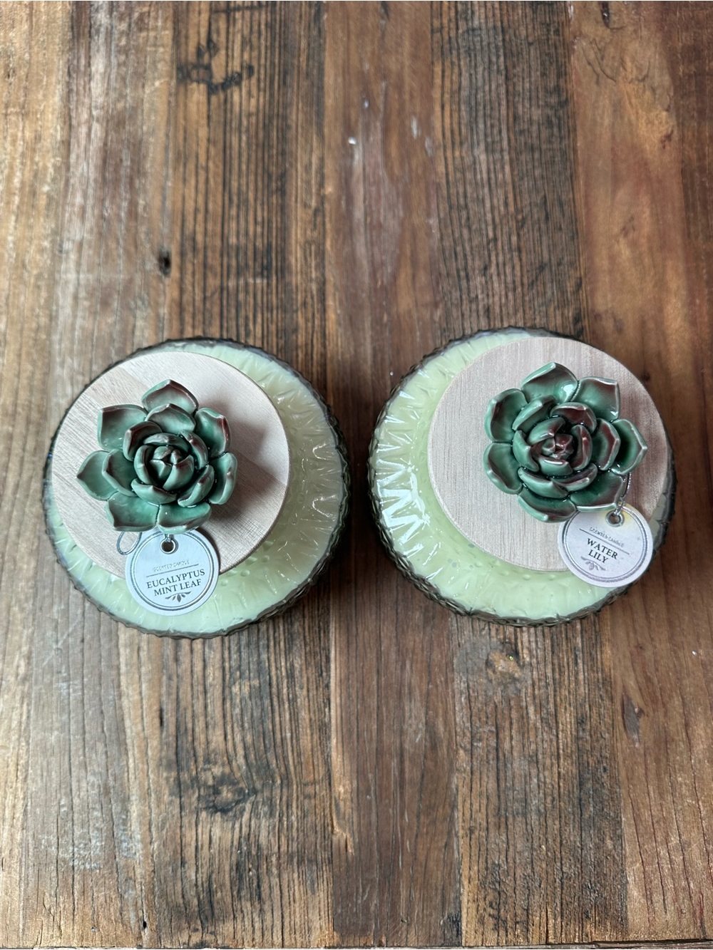 Green Glass Succulent Lid Jar Candle Pair - Home Accents